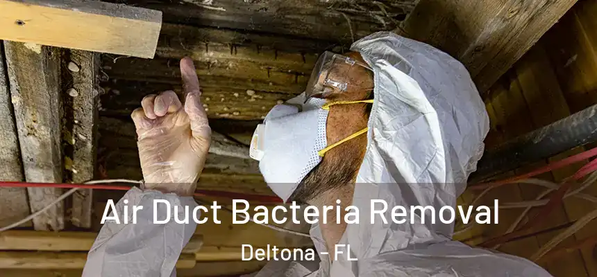 Air Duct Bacteria Removal Deltona - FL