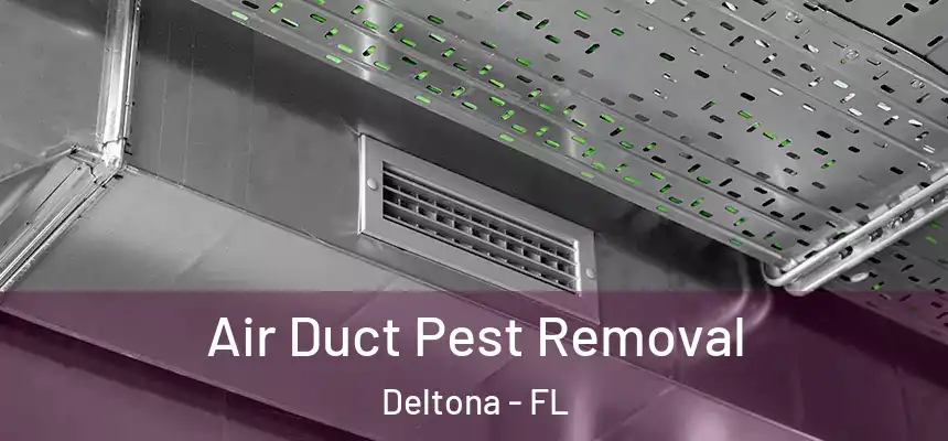 Air Duct Pest Removal Deltona - FL