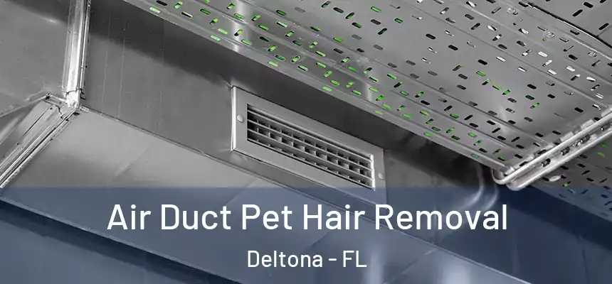 Air Duct Pet Hair Removal Deltona - FL