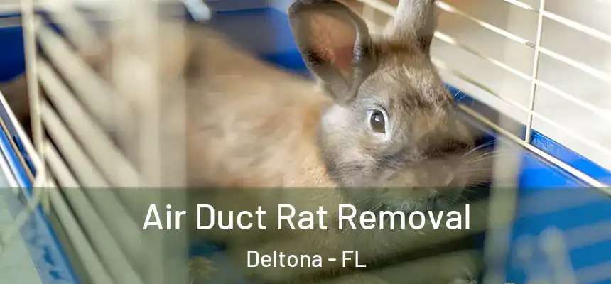 Air Duct Rat Removal Deltona - FL