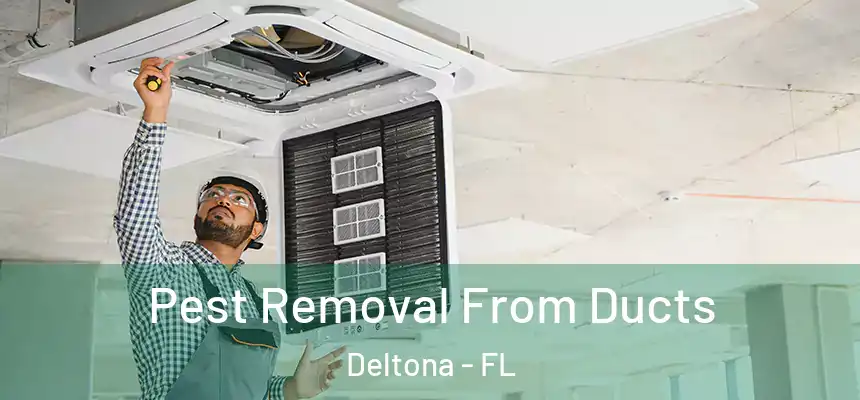 Pest Removal From Ducts Deltona - FL