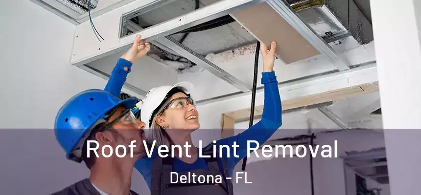 Roof Vent Lint Removal Deltona - FL