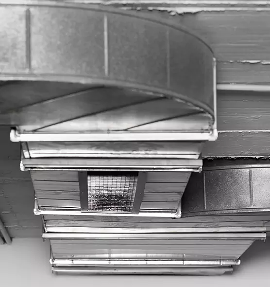 Professional Air Duct Pet Hair Removal in Deltona, FL
