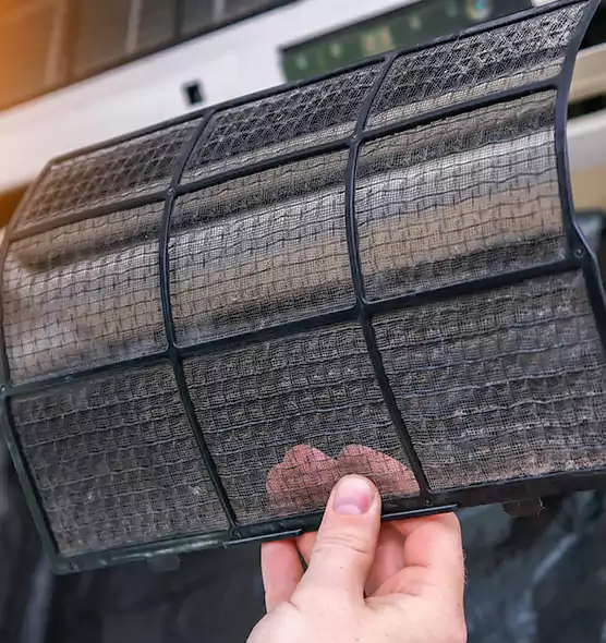 About Pet Dander Duct Cleaning in Deltona, FL